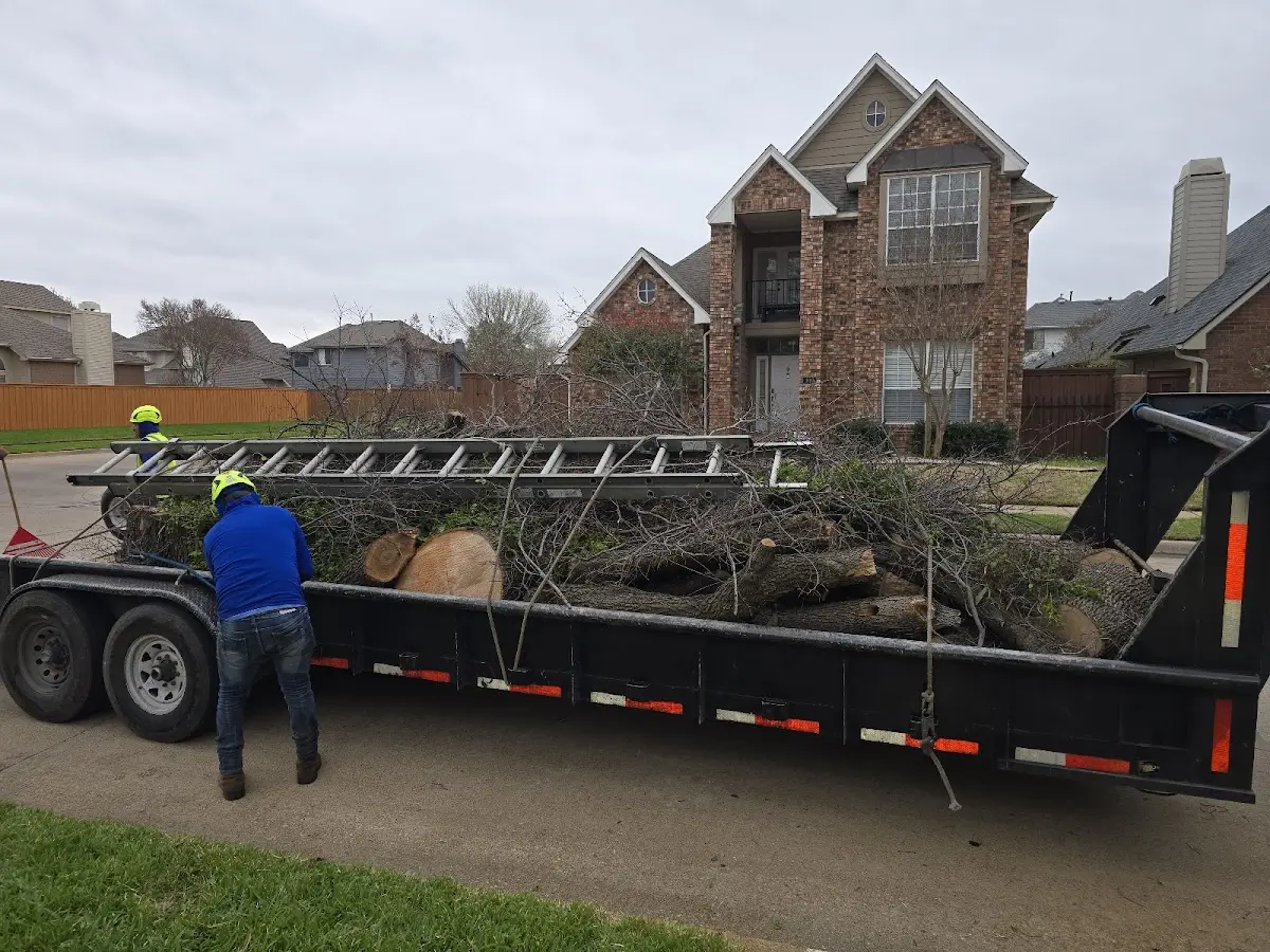 Expert Tree Removal with proper safety equipment in Mendon